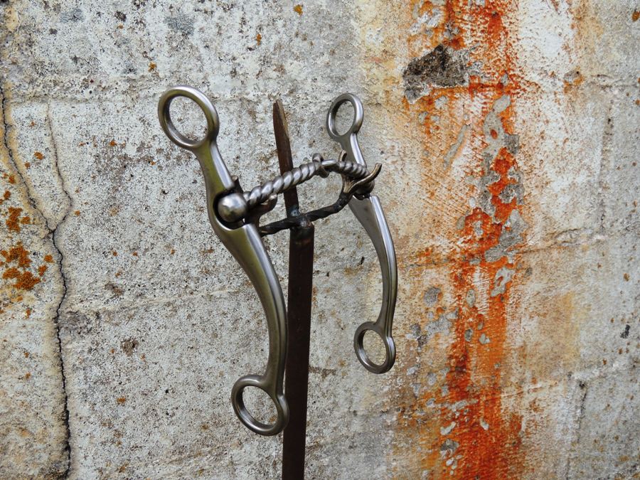 N75 TwistedWire Snaffle